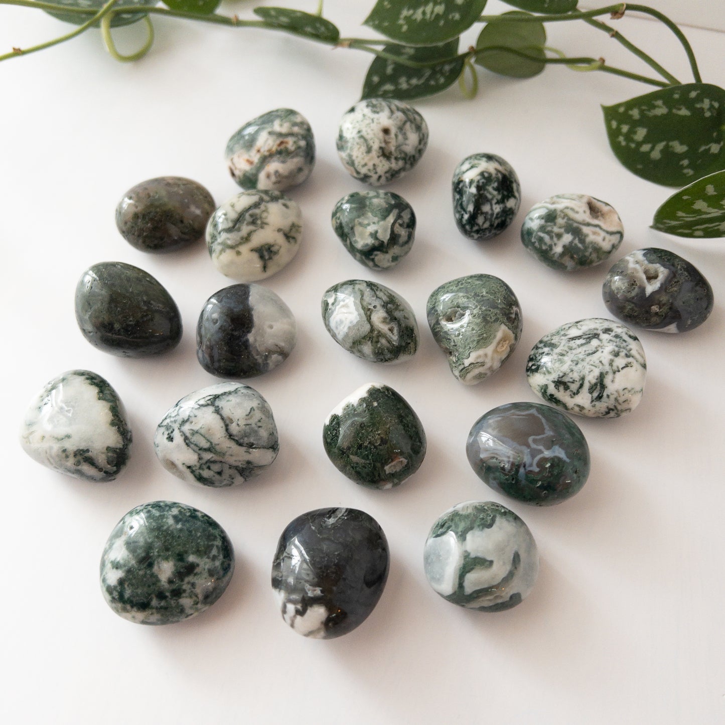 Moss Agate Tumble