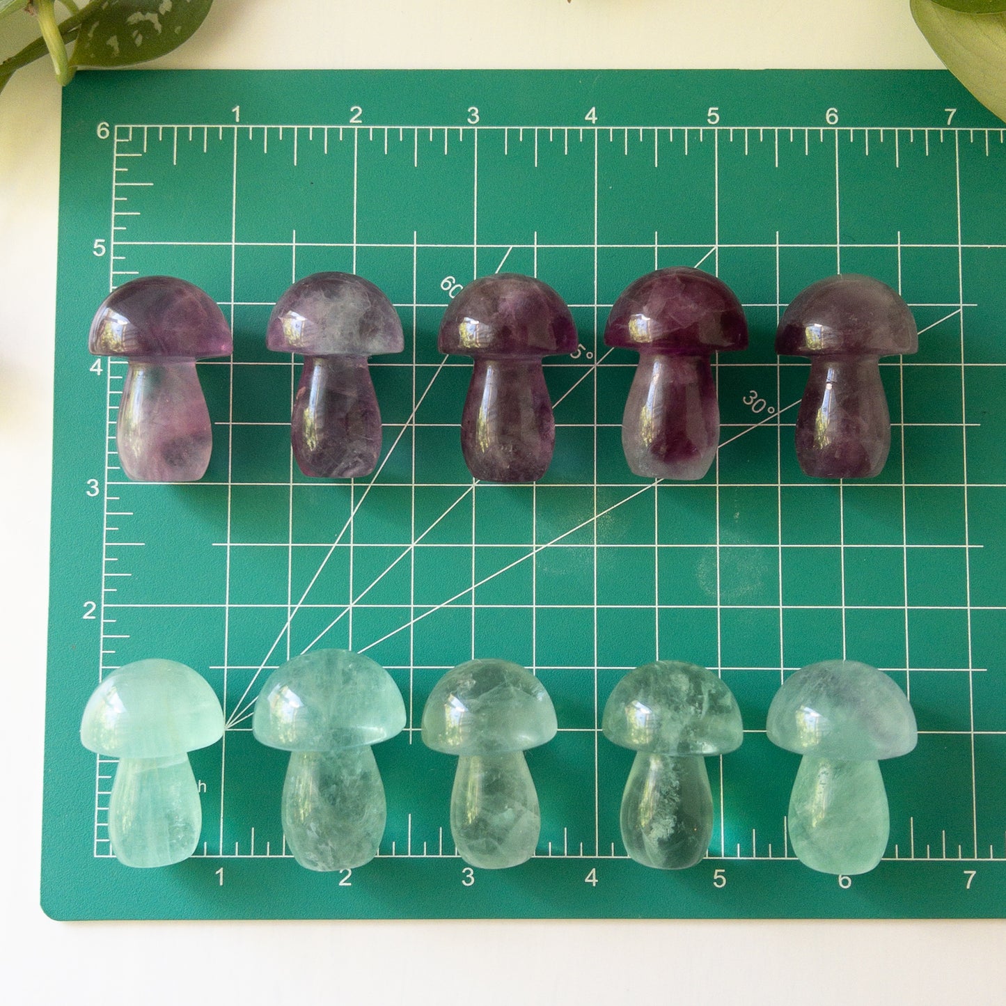 Purple & Green Fluorite Mushrooms