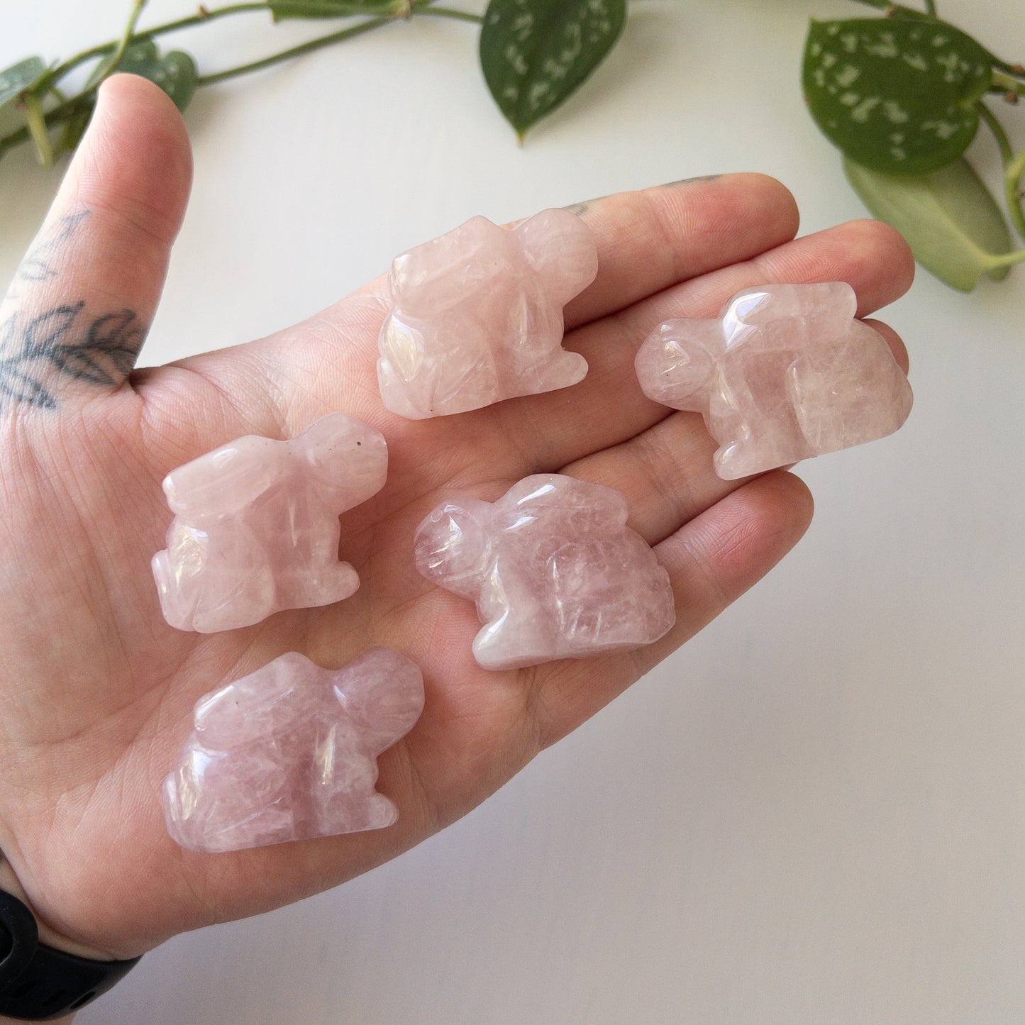 Rose Quartz Rabbits