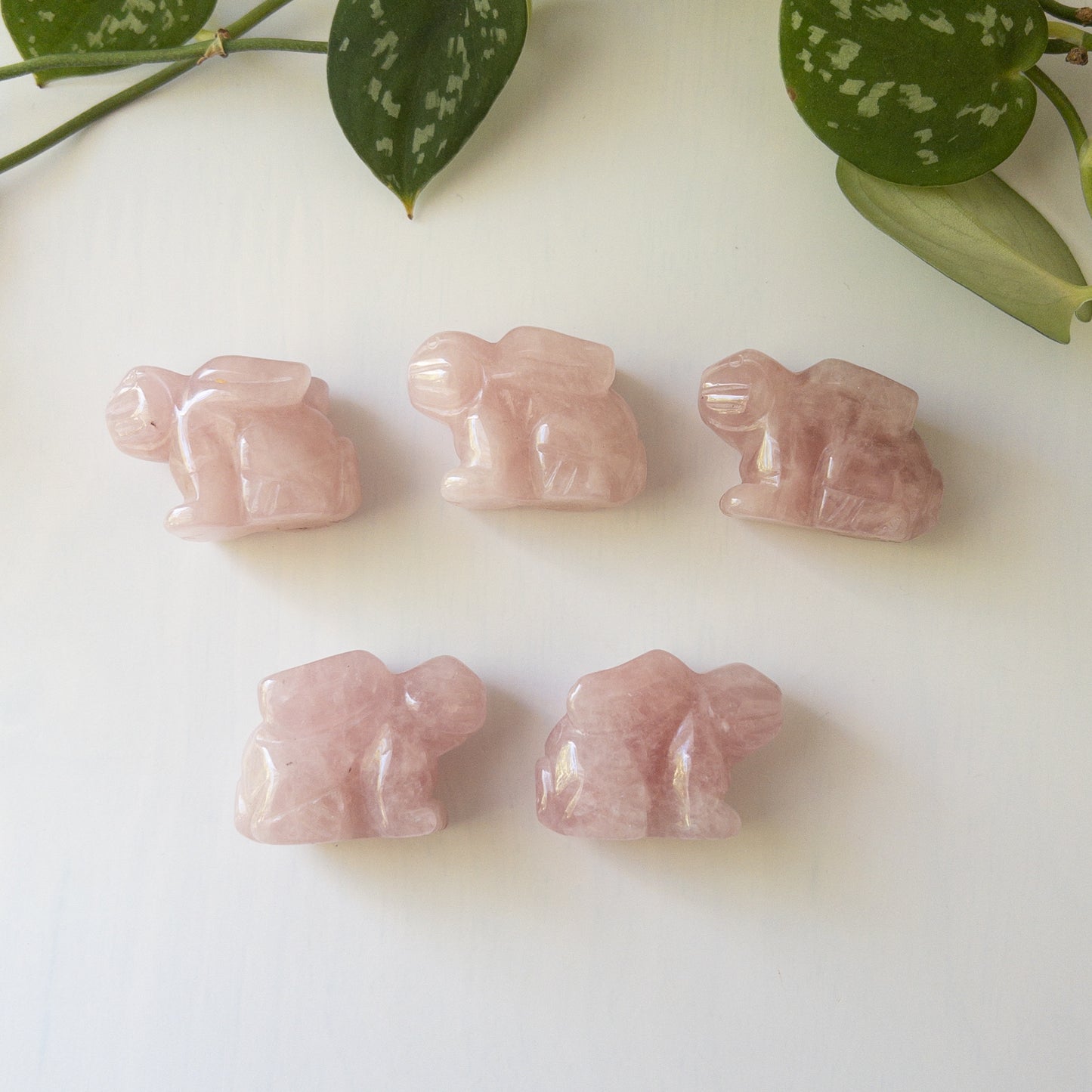 Rose Quartz Rabbits