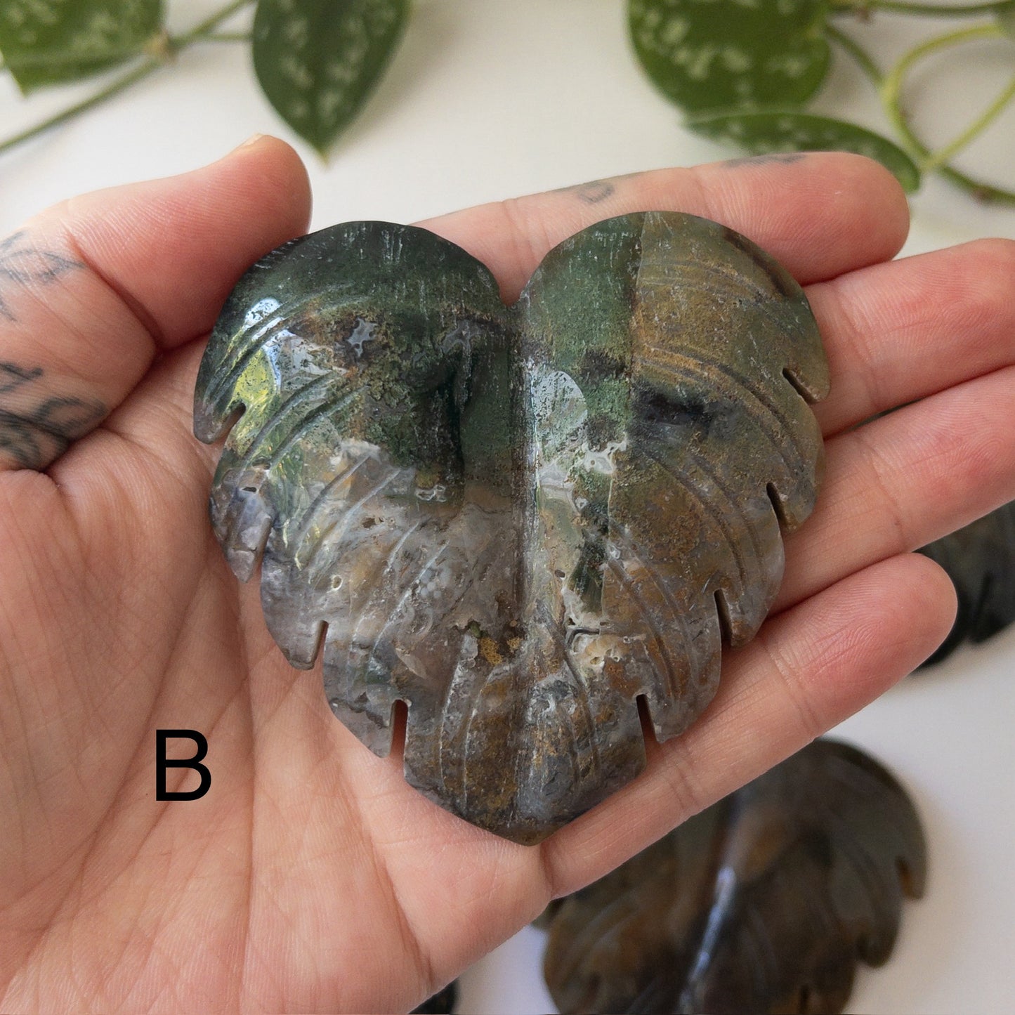 Sea Jasper Monstera Leaves