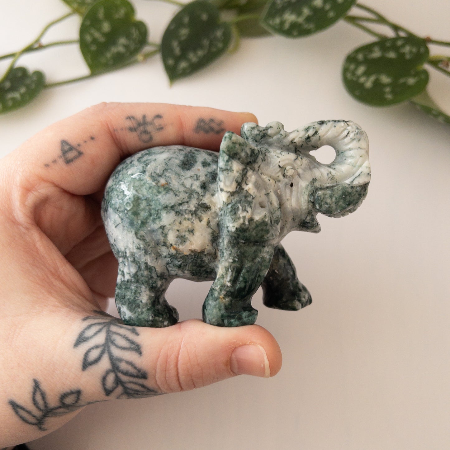 Tree Agate Elephant