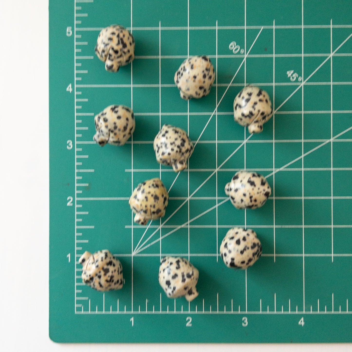 Mini Dalmatian Jasper Acorn