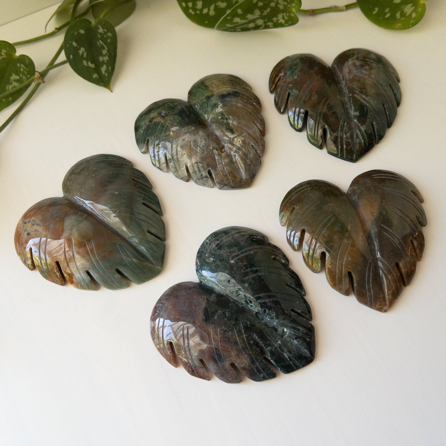 Sea Jasper Monstera Leaves