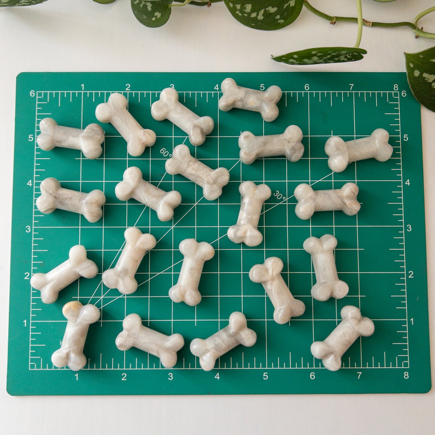 White Agate Bones