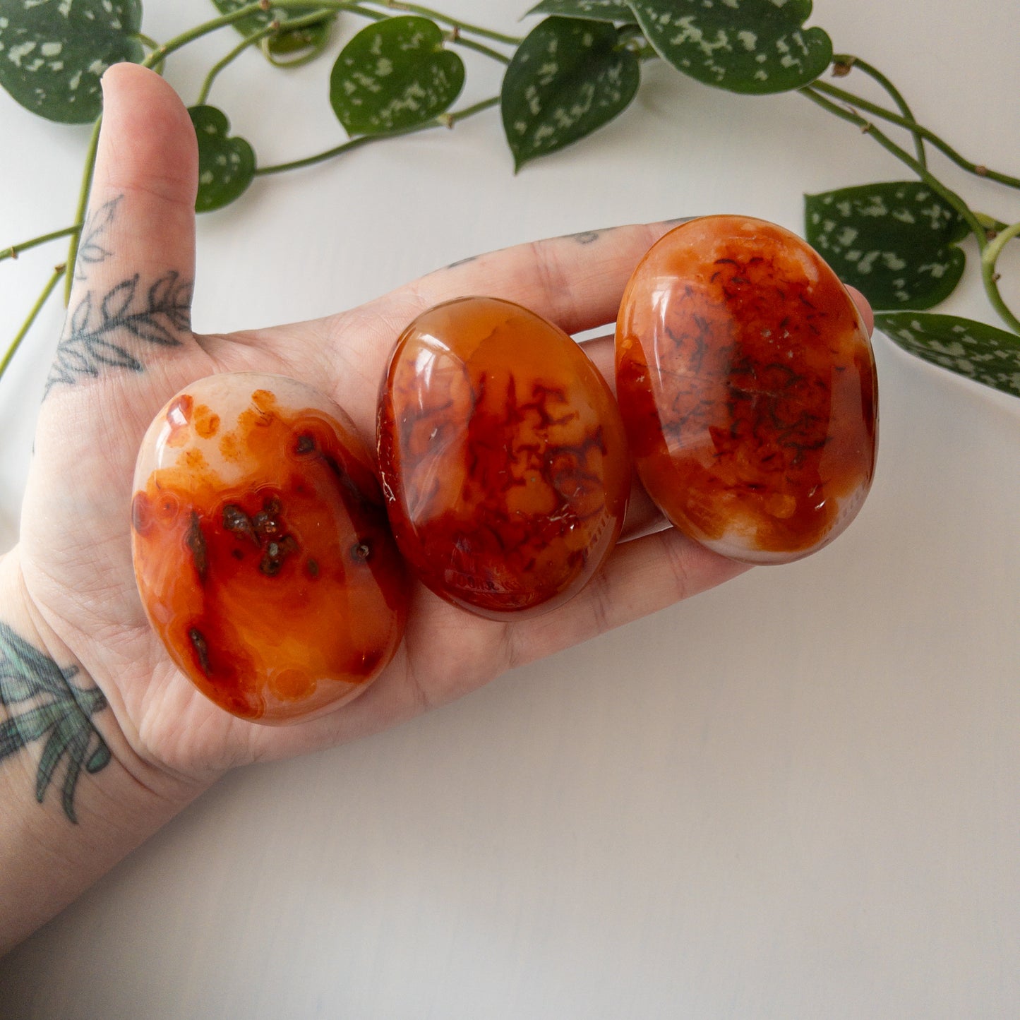 Carnelian Palmstone