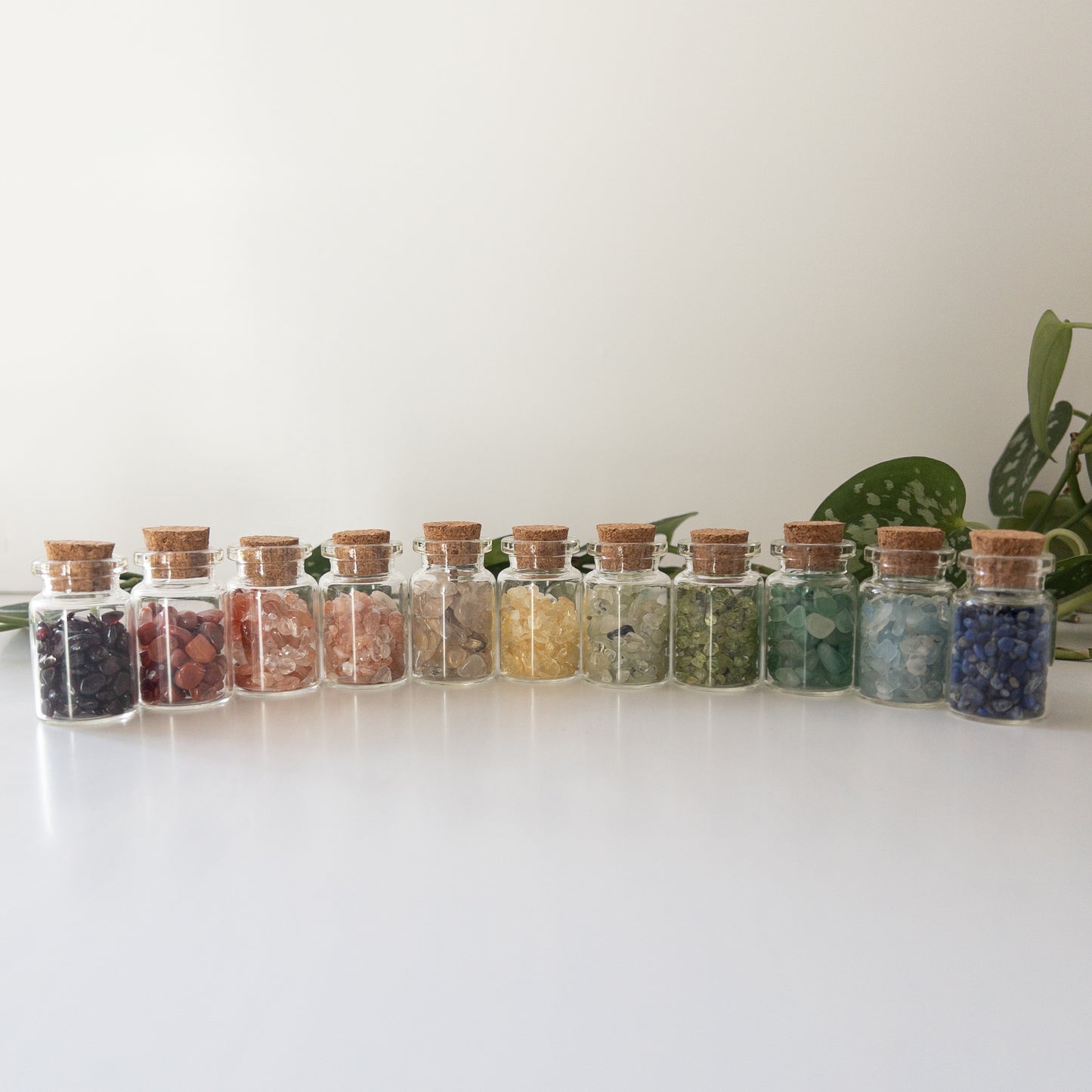 Crystal Chip Bottle - 22 Crystals Available