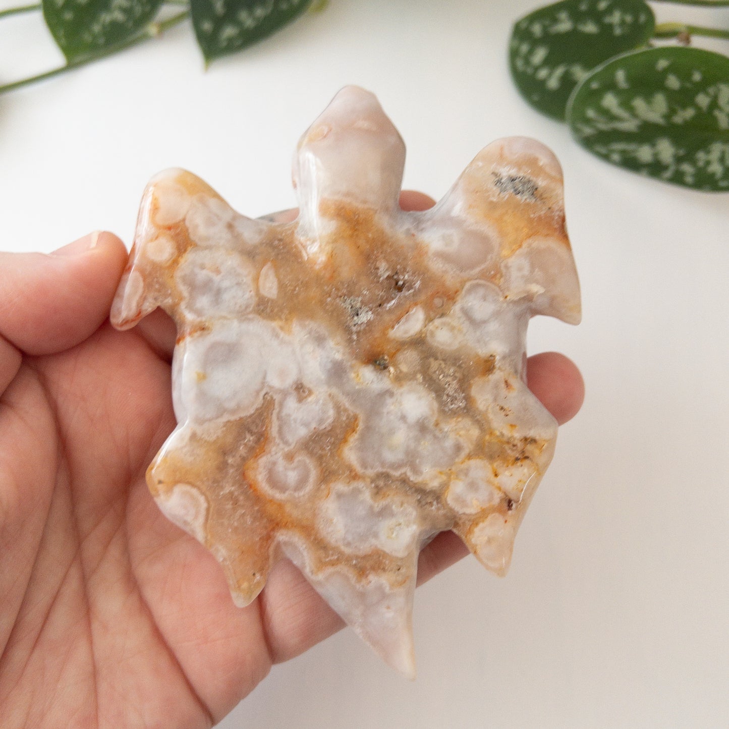 Flower Agate Sea Turtle