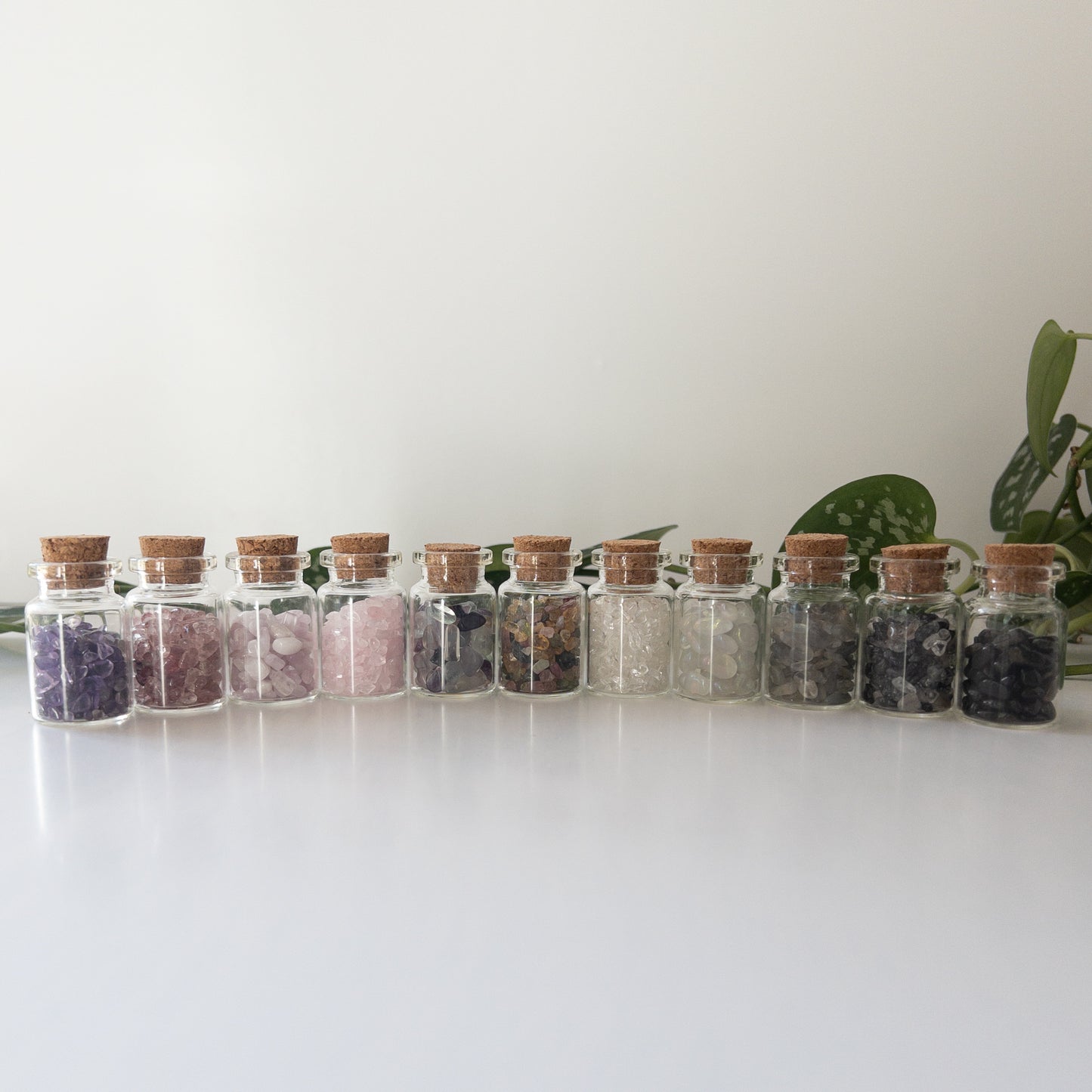 Crystal Chip Bottle - 22 Crystals Available