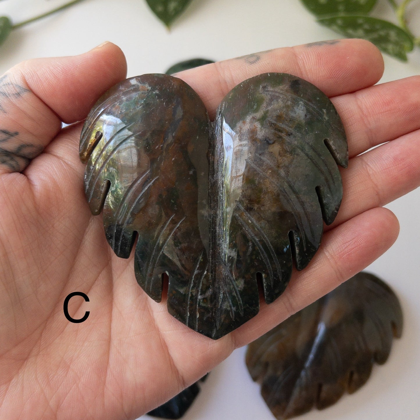 Sea Jasper Monstera Leaves