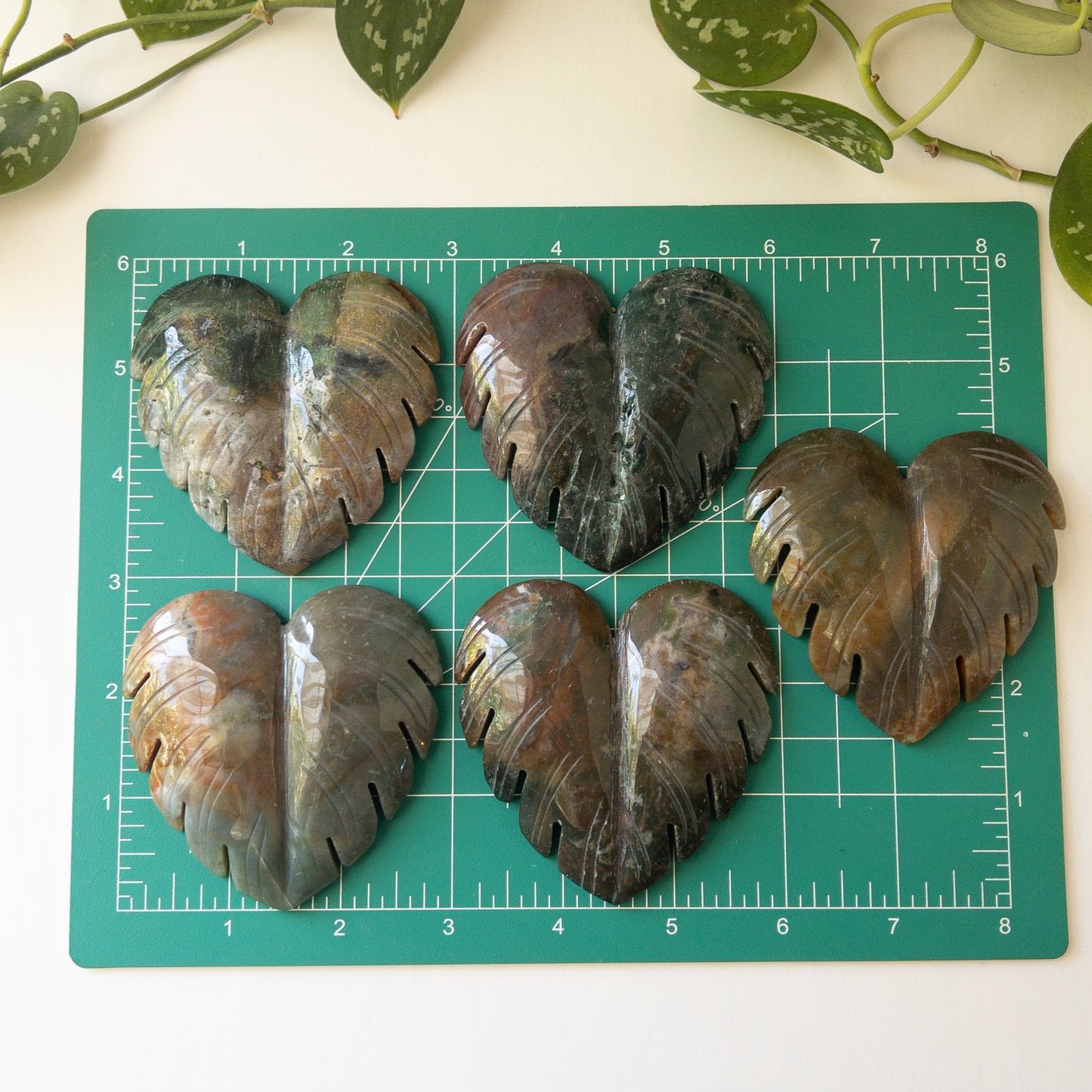 Sea Jasper Monstera Leaves