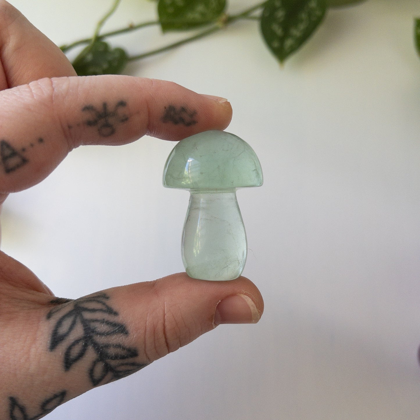 Purple & Green Fluorite Mushrooms