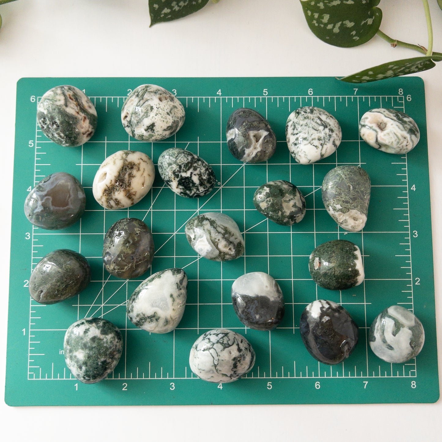 Moss Agate Tumble