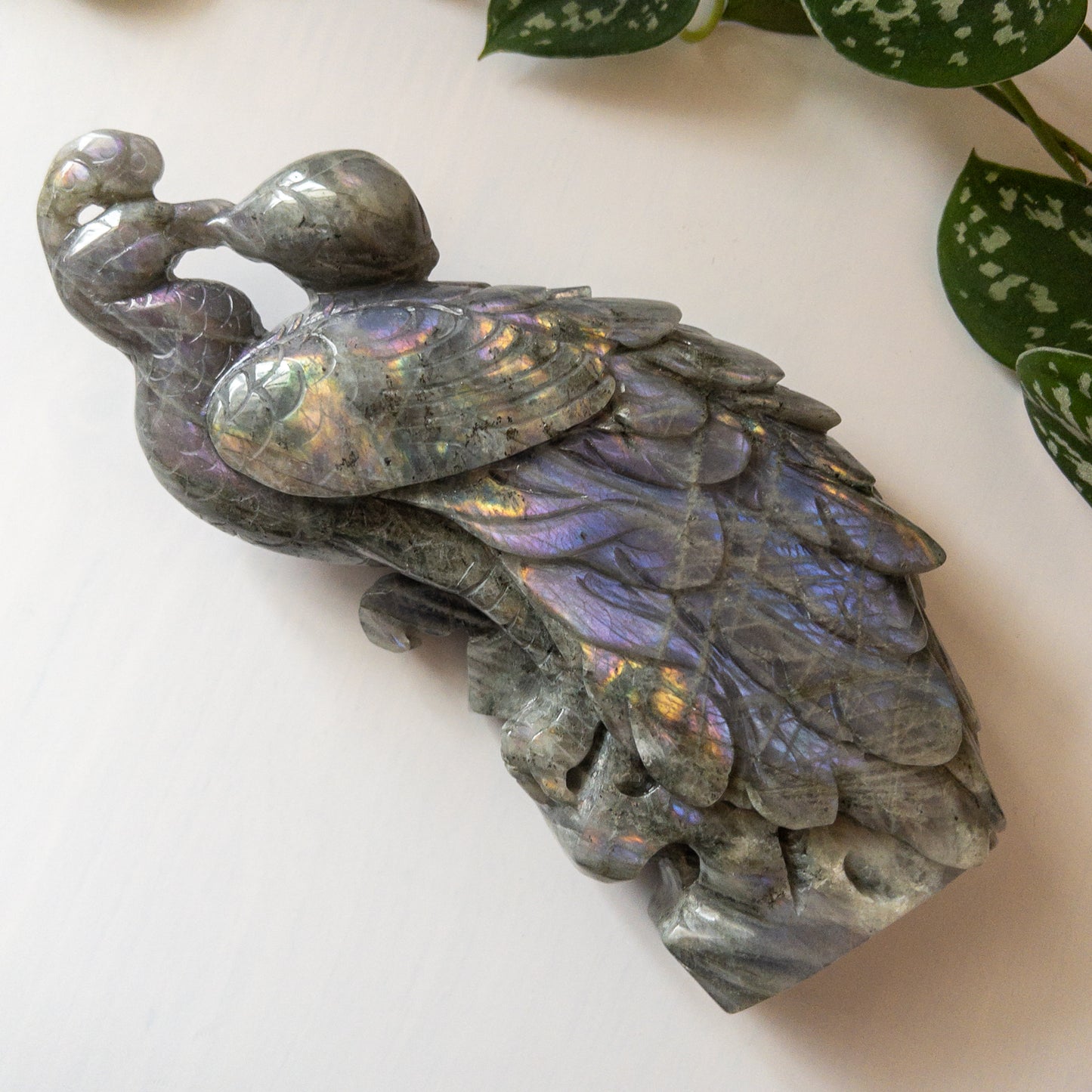 Purple Labradorite Phoenix Breathing Fire