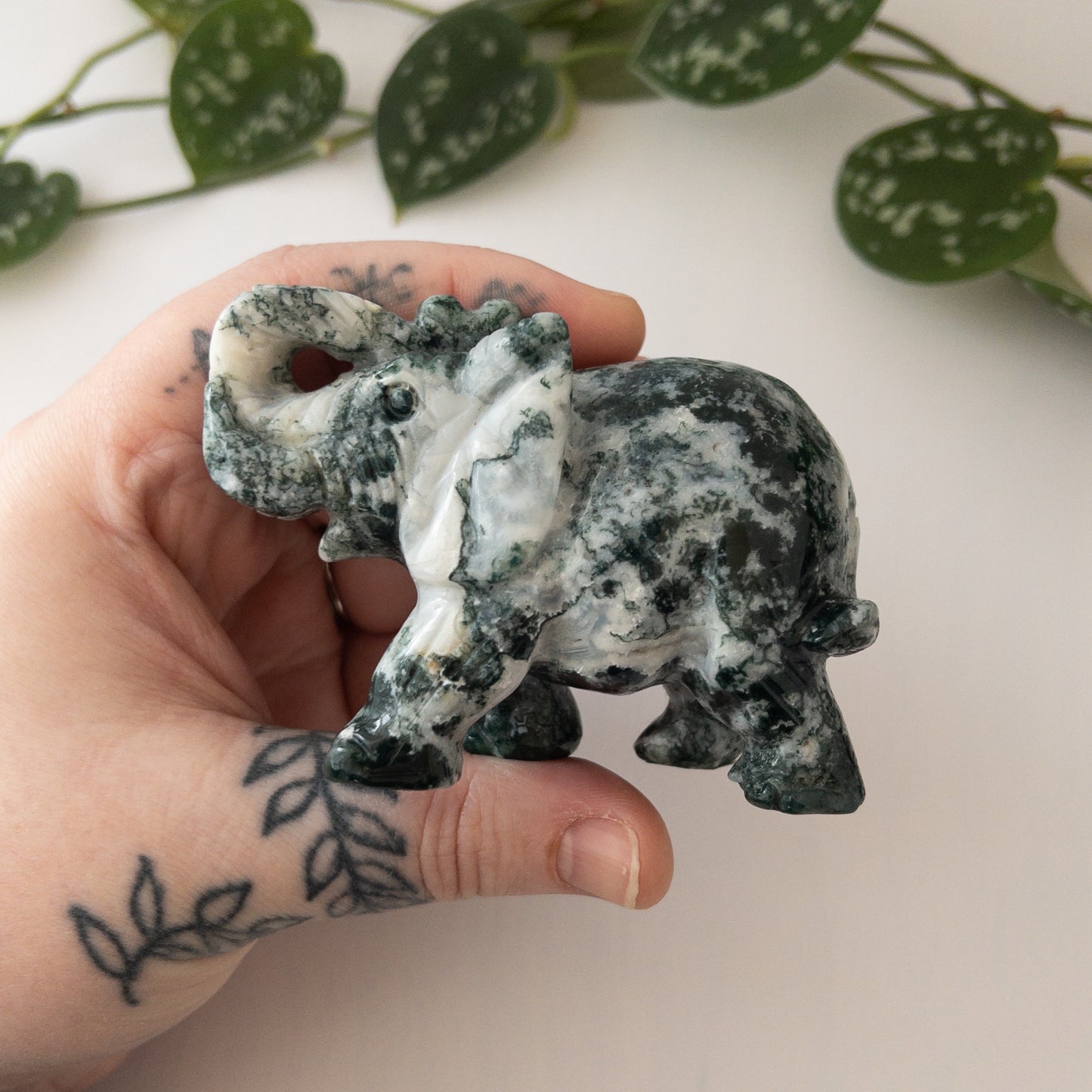 Tree Agate Elephant