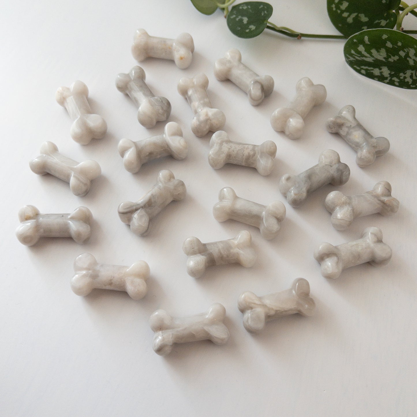 White Agate Bones