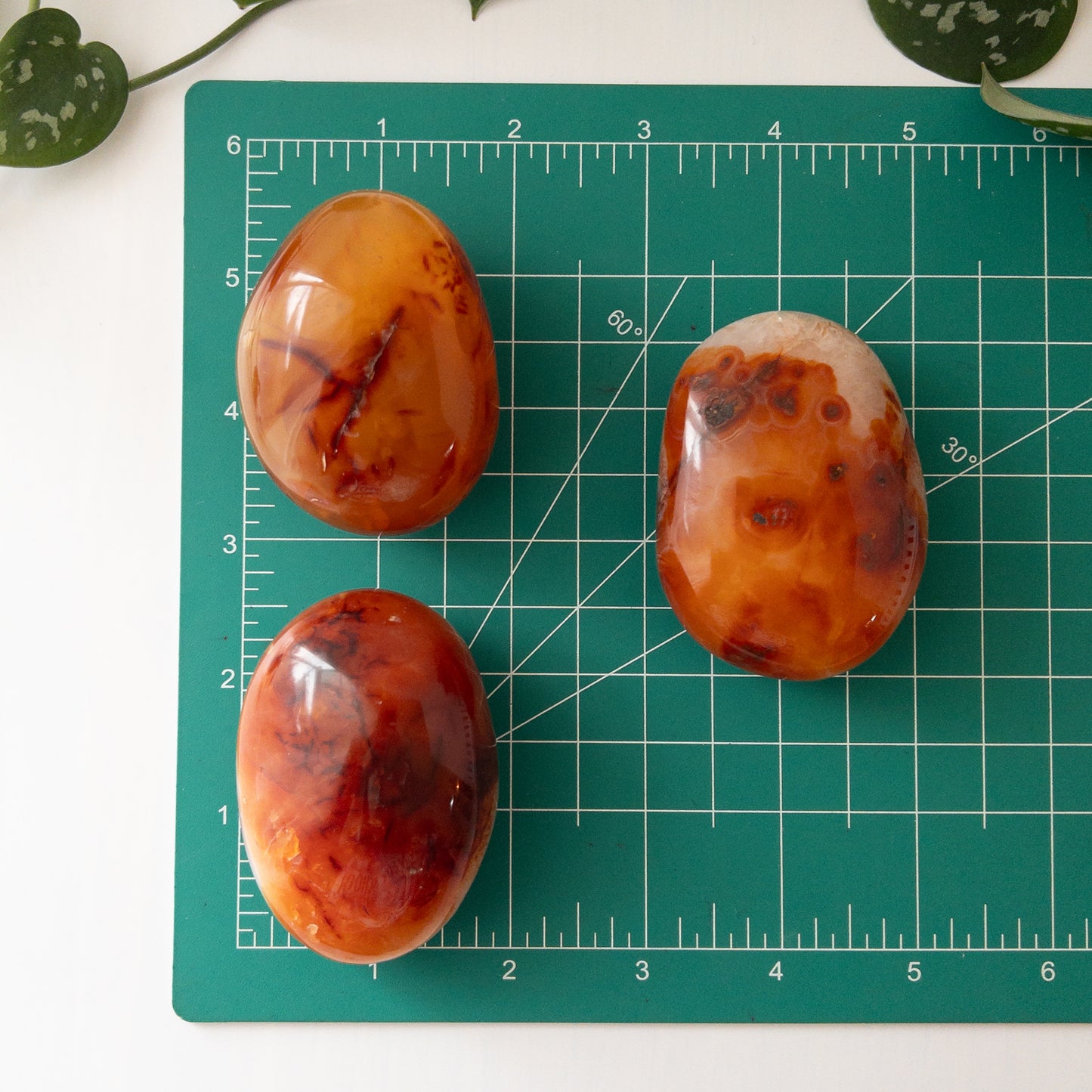 Carnelian Palmstone