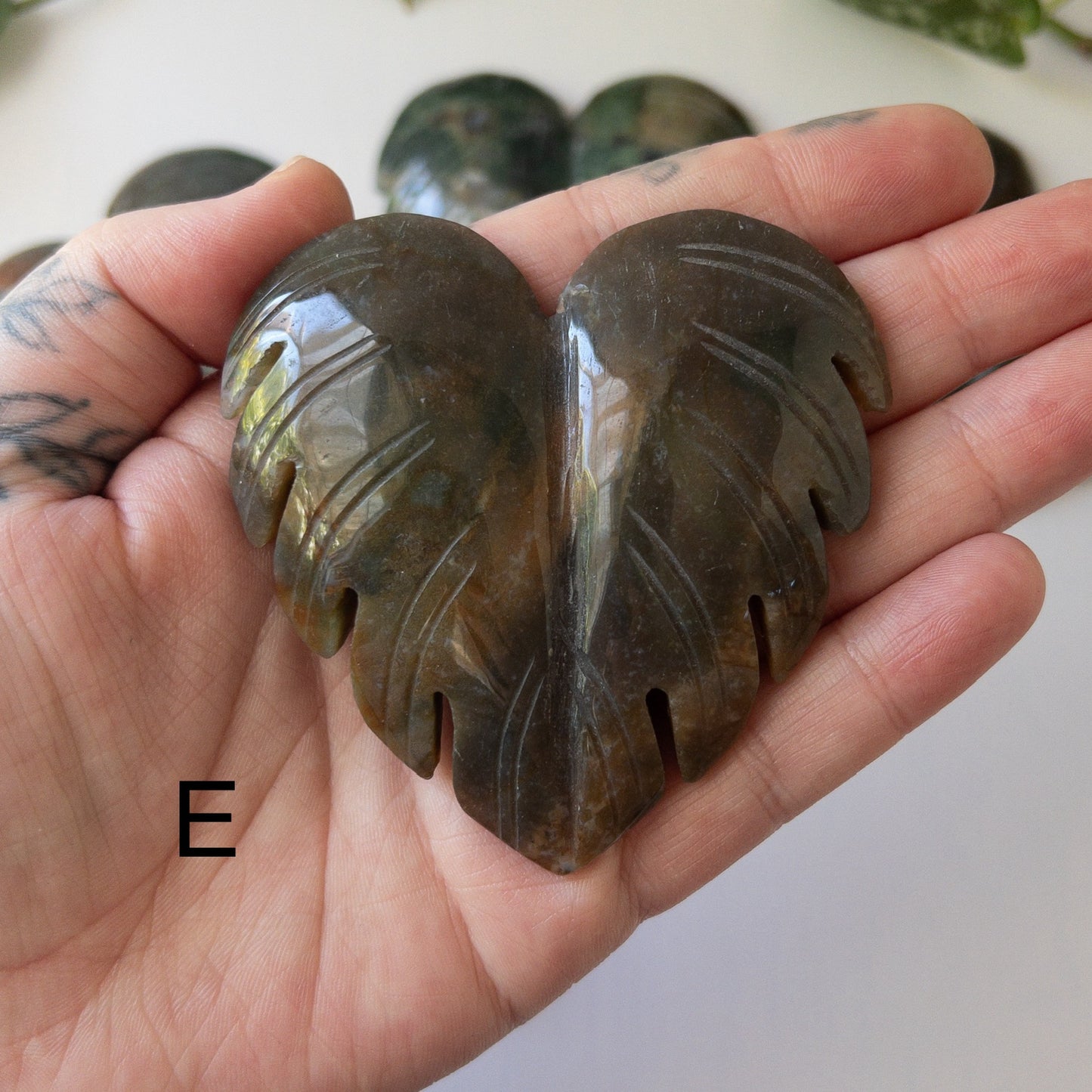 Sea Jasper Monstera Leaves
