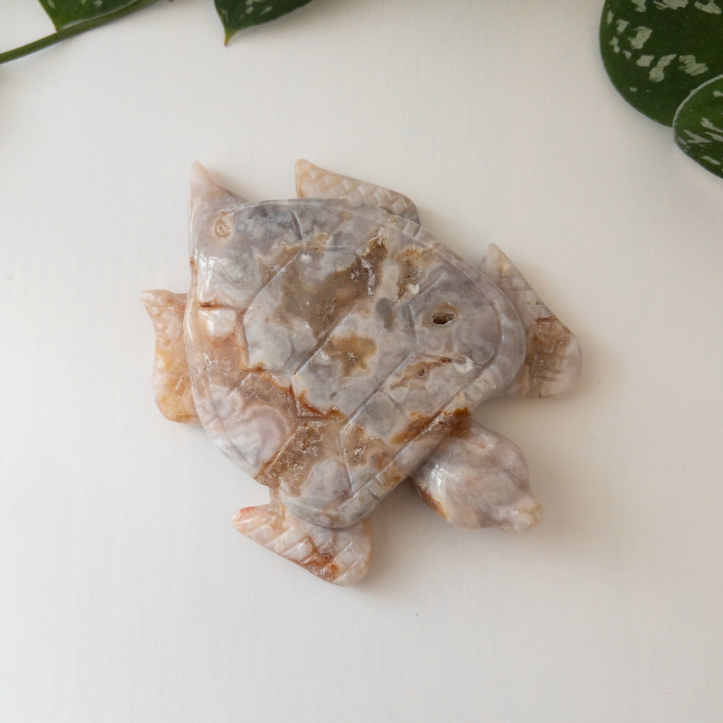 Flower Agate Sea Turtle