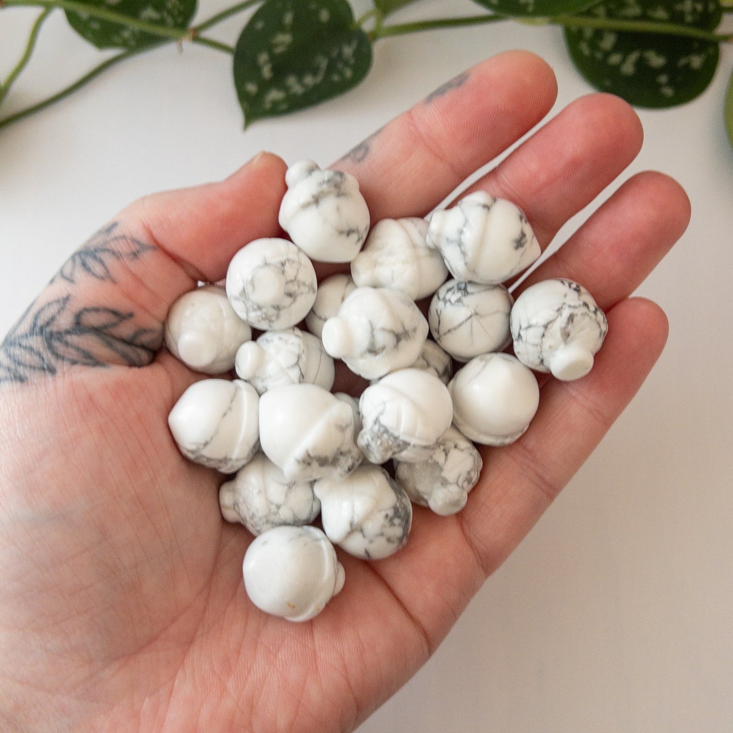 Mini Howlite Acorn