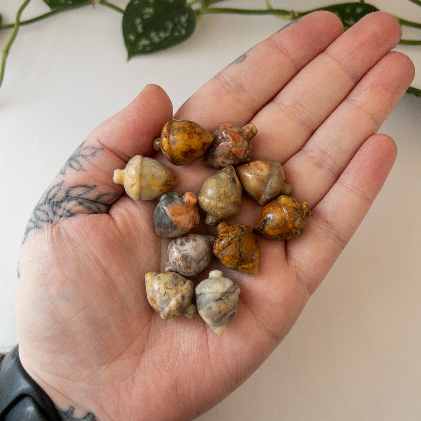 Mini Crazy Lace Agate Acorn