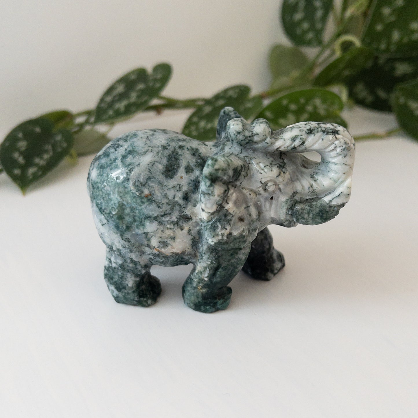 Tree Agate Elephant