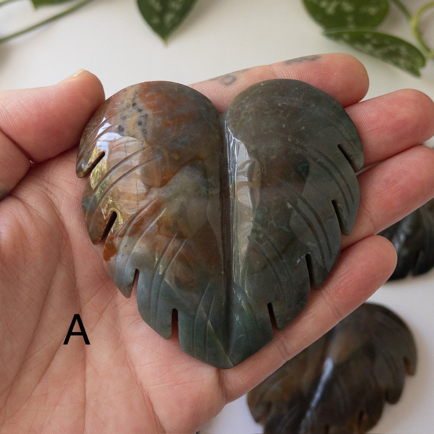 Sea Jasper Monstera Leaves