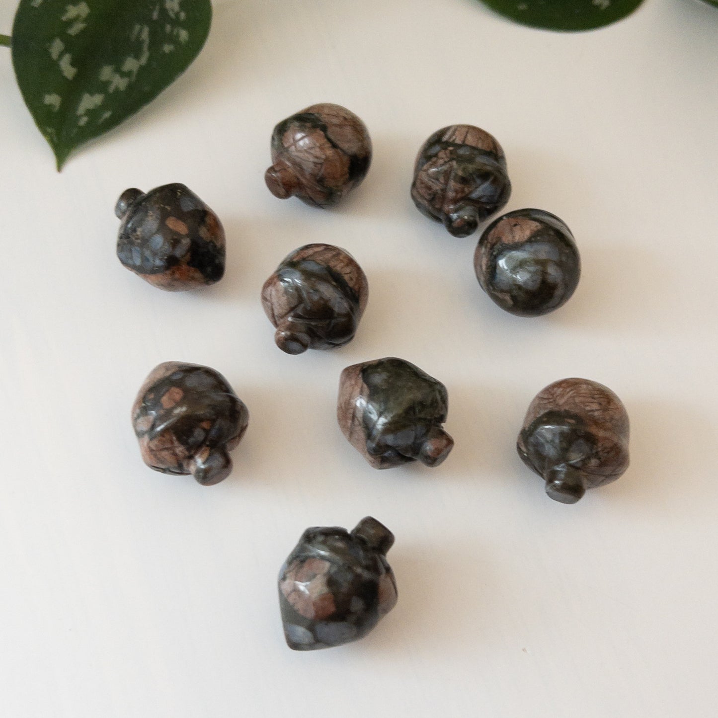 Mini Que Sera Acorn