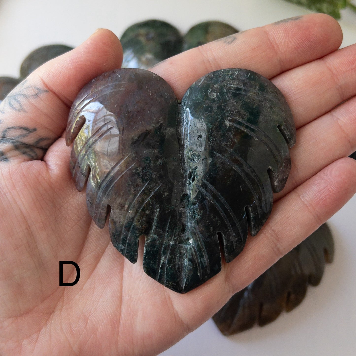 Sea Jasper Monstera Leaves