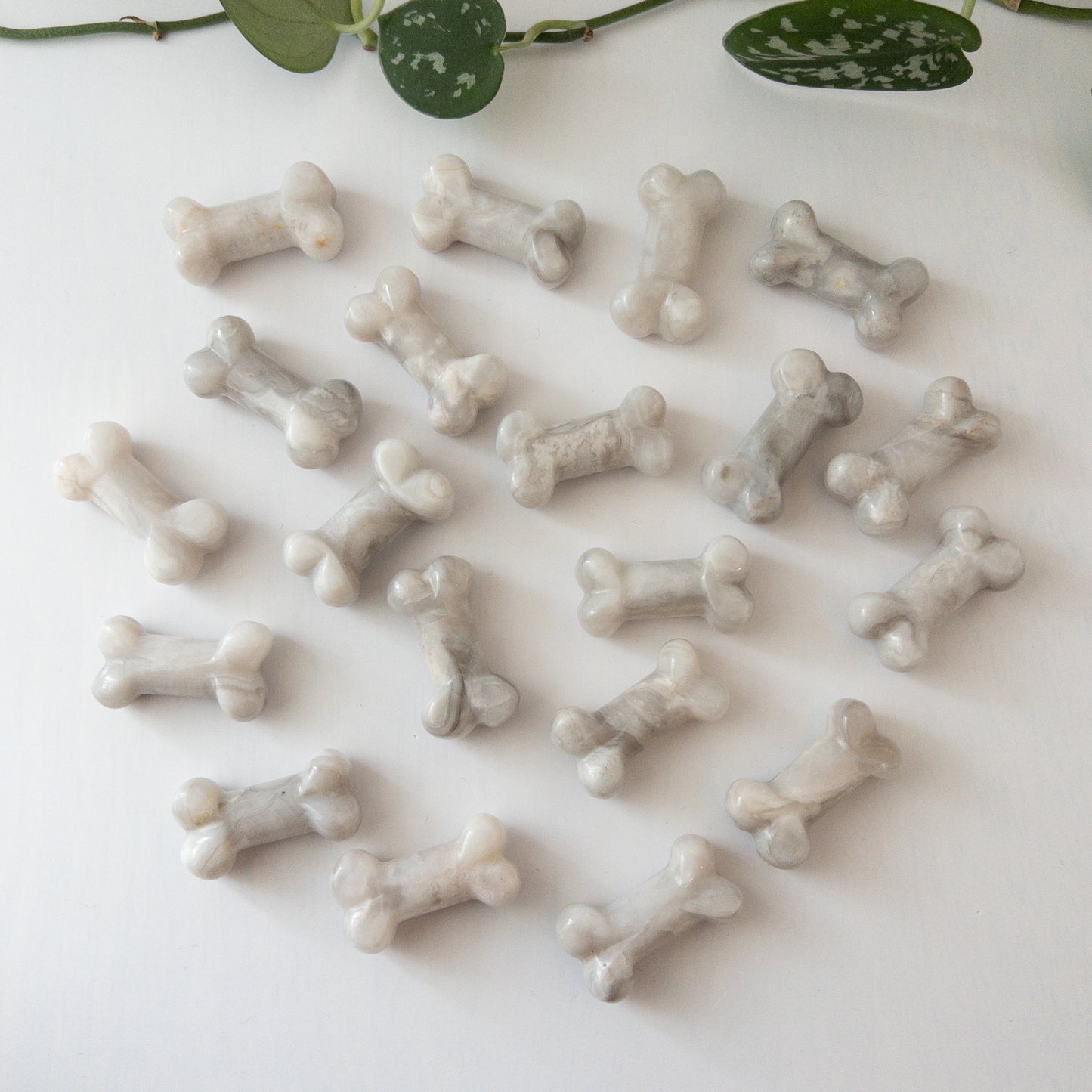 White Agate Bones