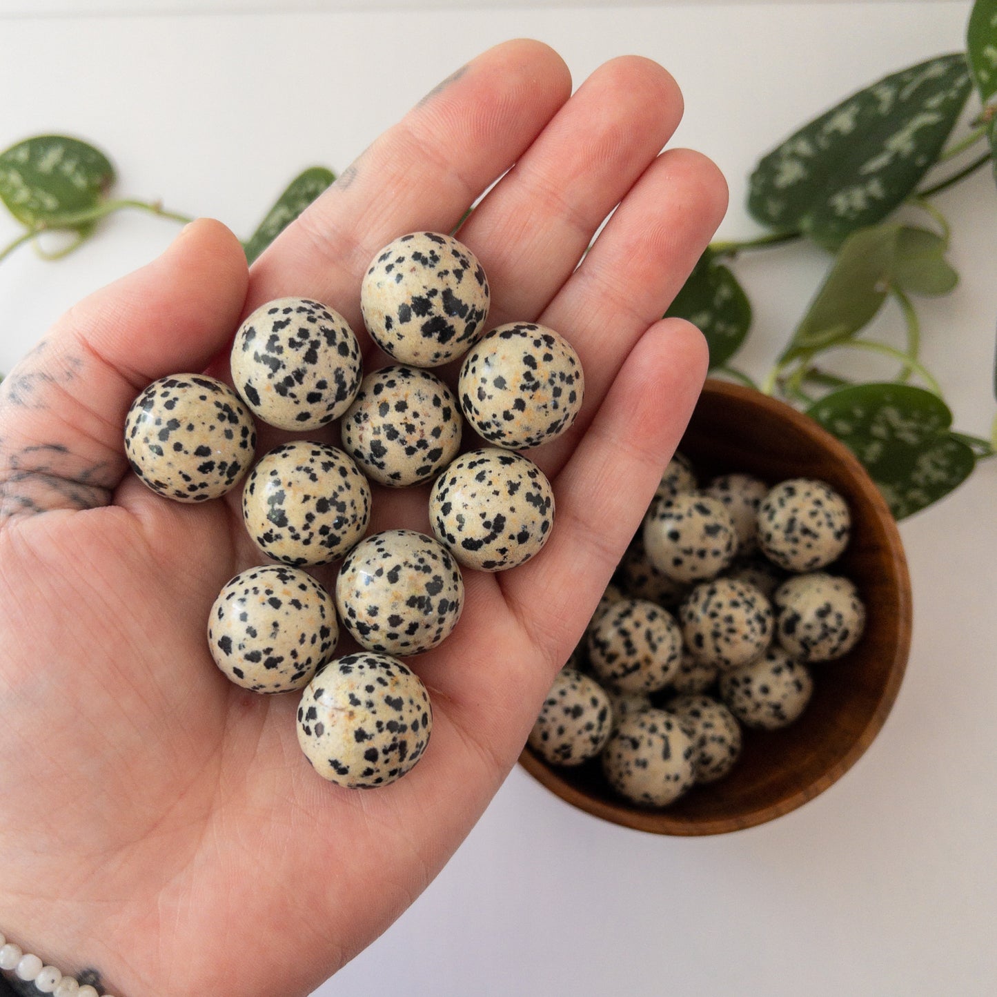 Dalmatian Jasper Mini Sphere