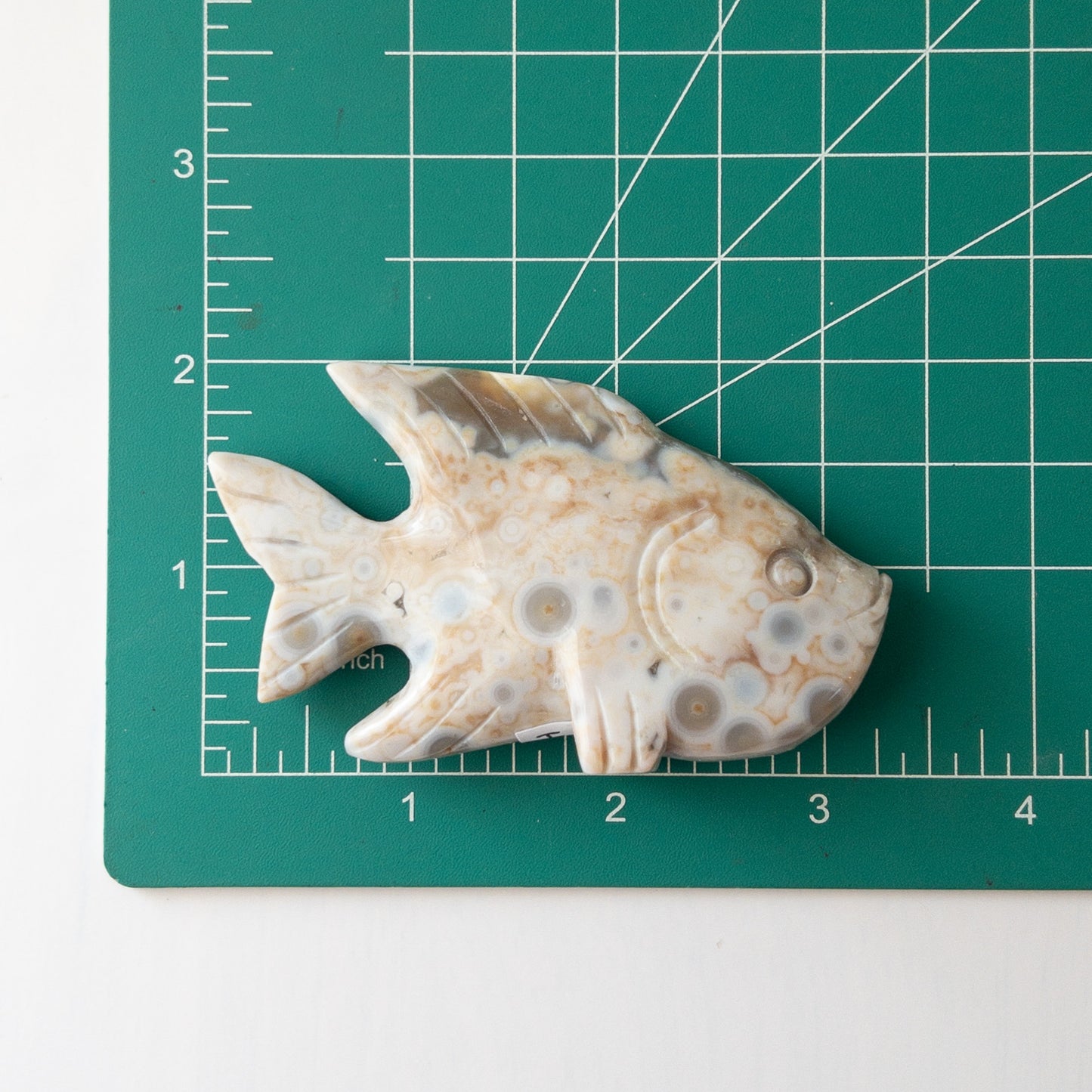 Ocean Jasper Fish H