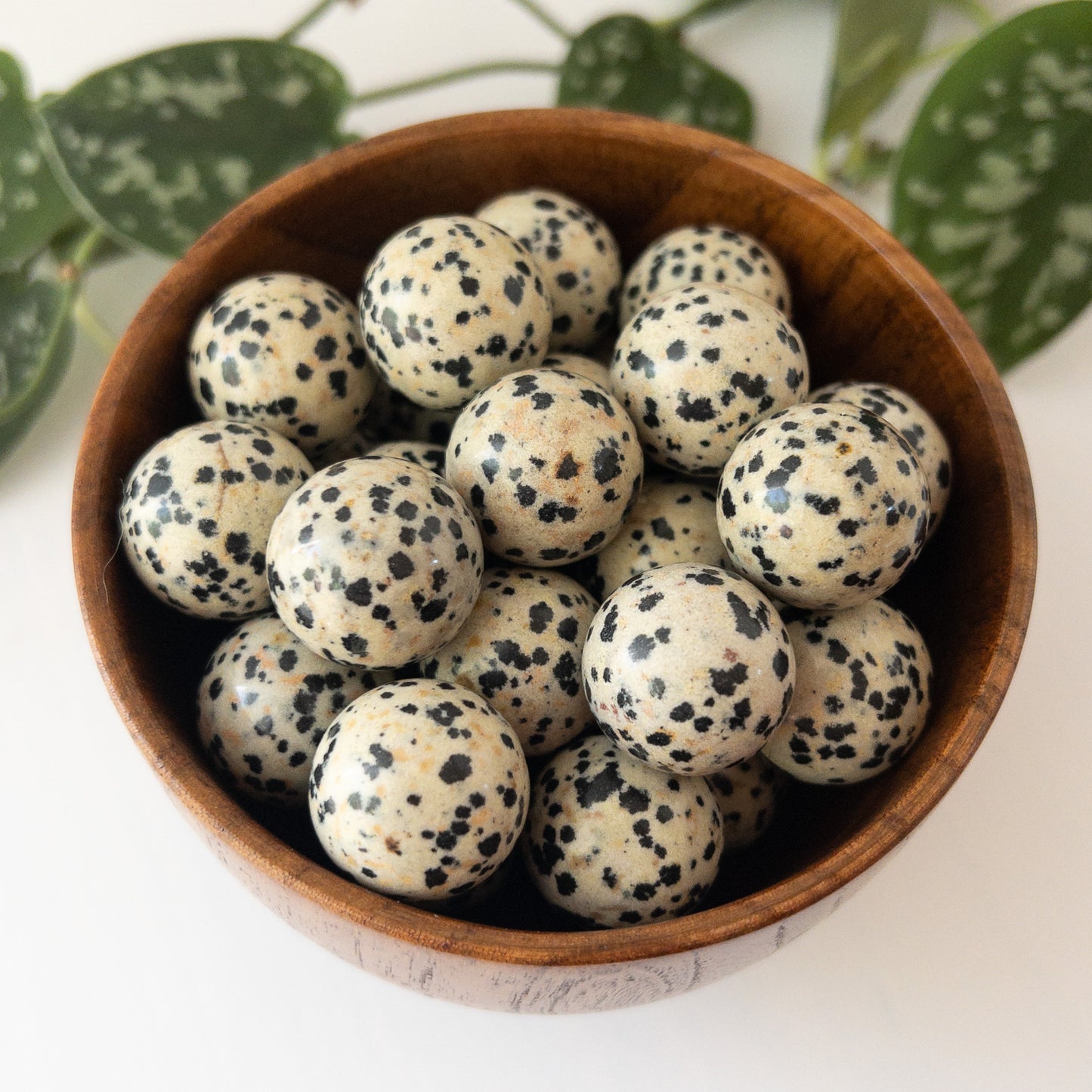 Dalmatian Jasper Mini Sphere