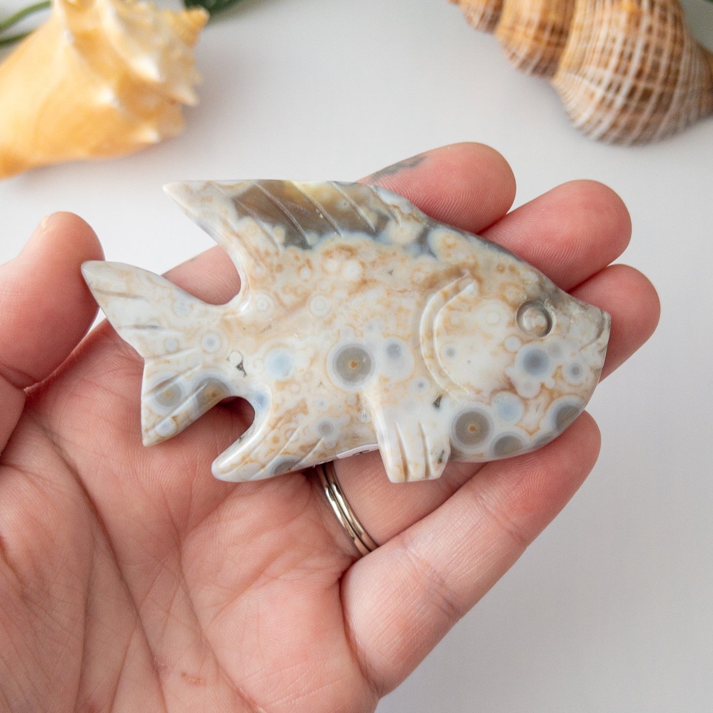 Ocean Jasper Fish H
