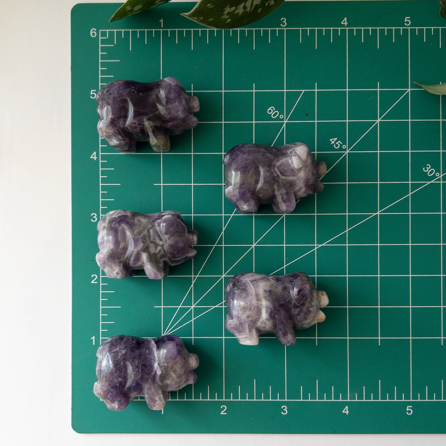 Dream Amethyst Pig