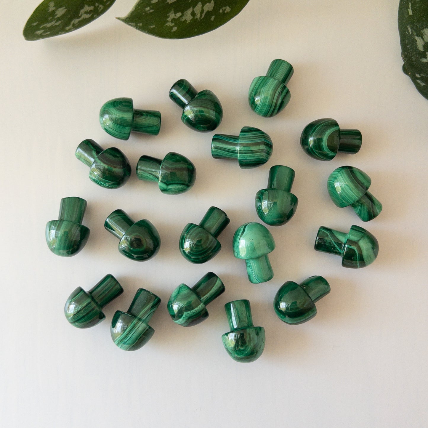 Mini Malachite Mushroom