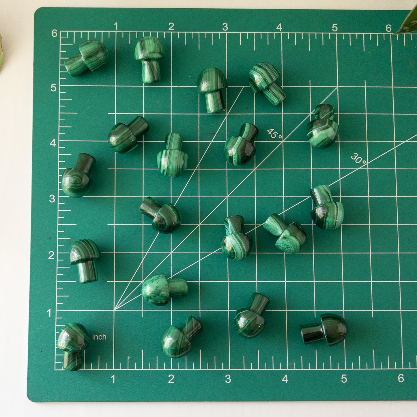 Mini Malachite Mushroom