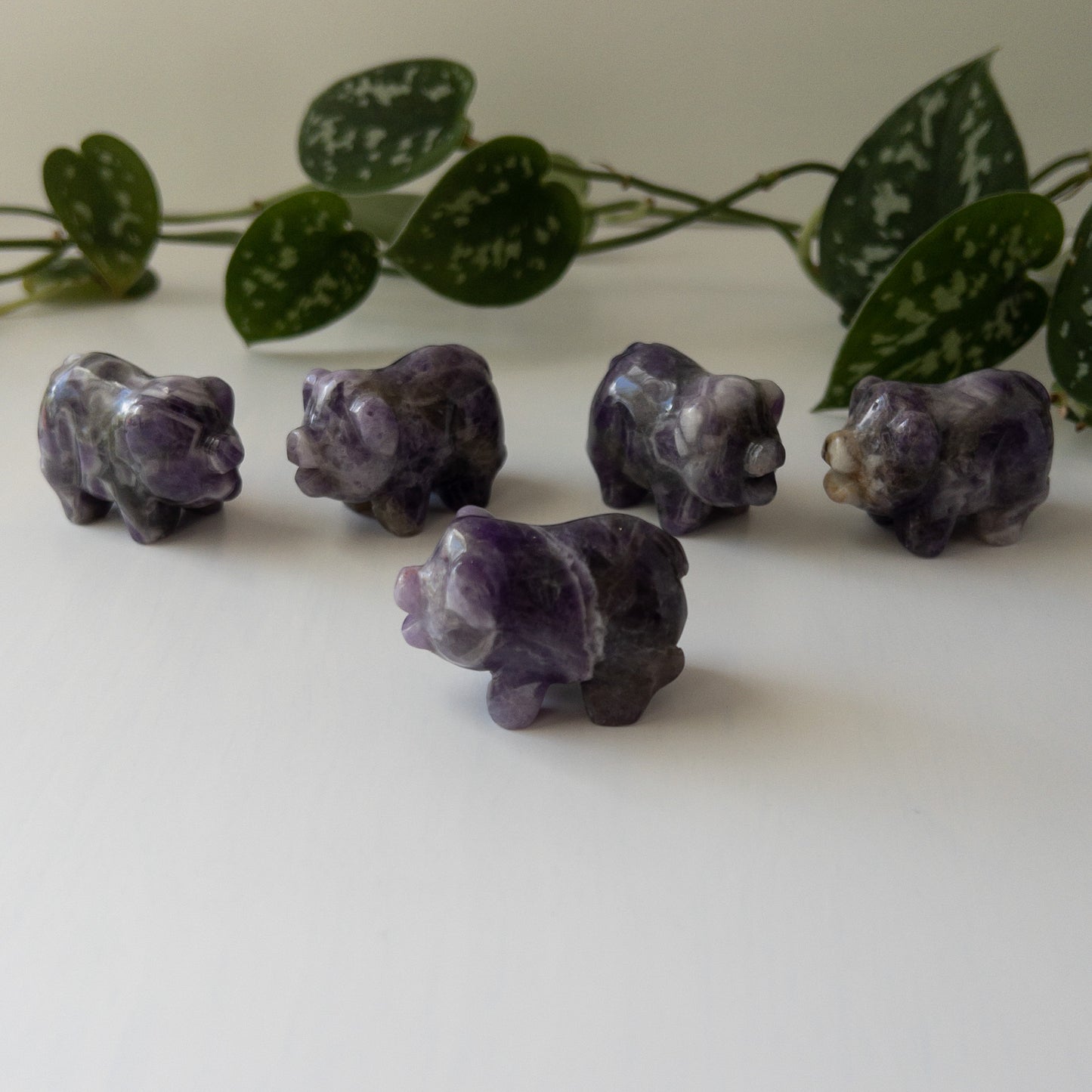 Dream Amethyst Pig