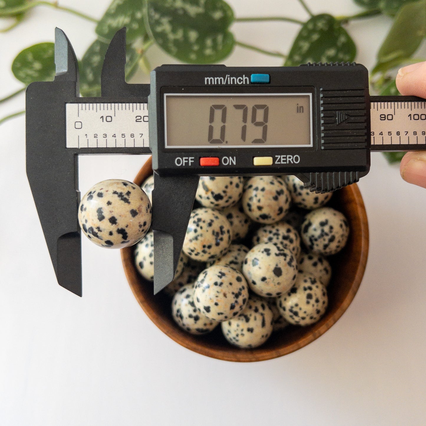 Dalmatian Jasper Mini Sphere