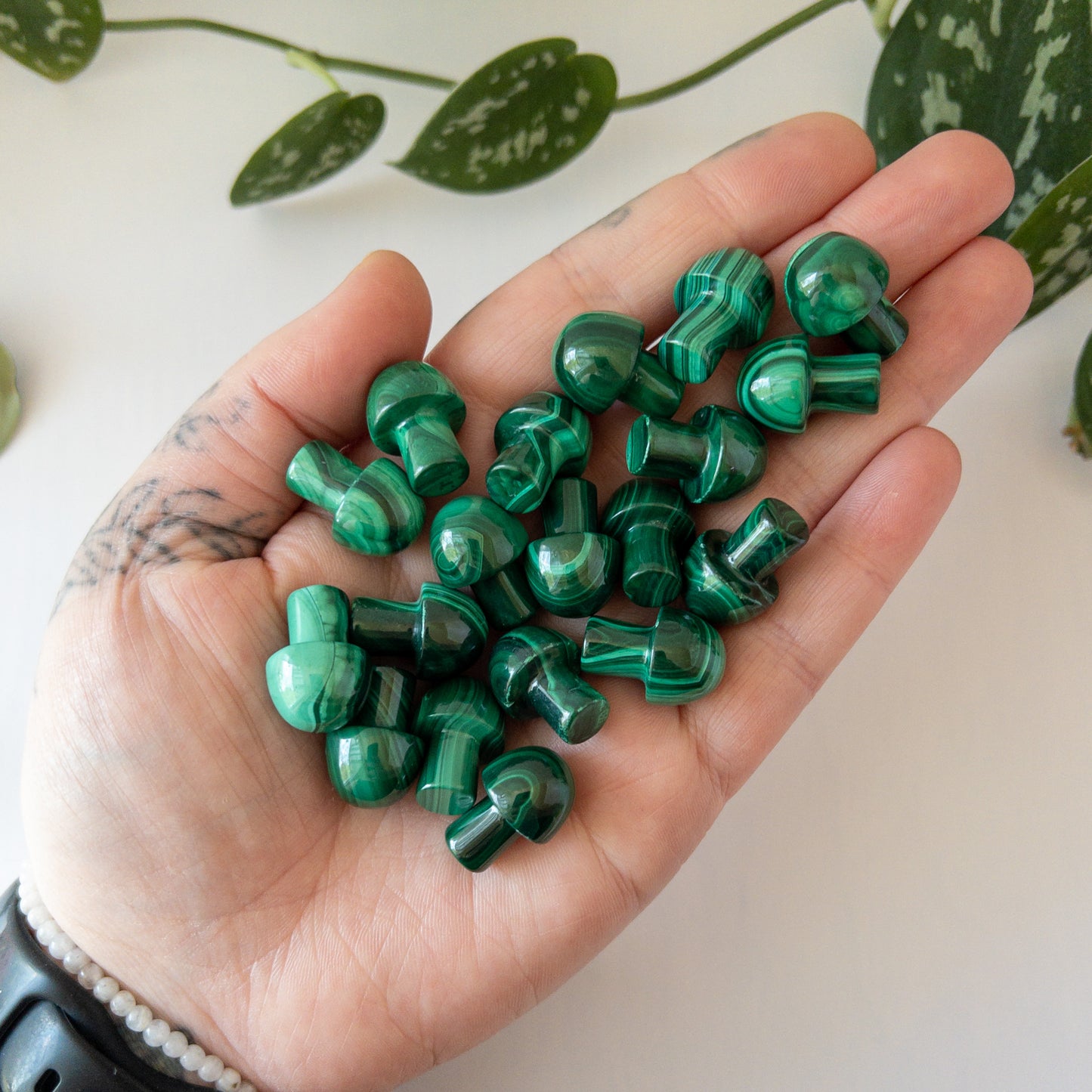 Mini Malachite Mushroom