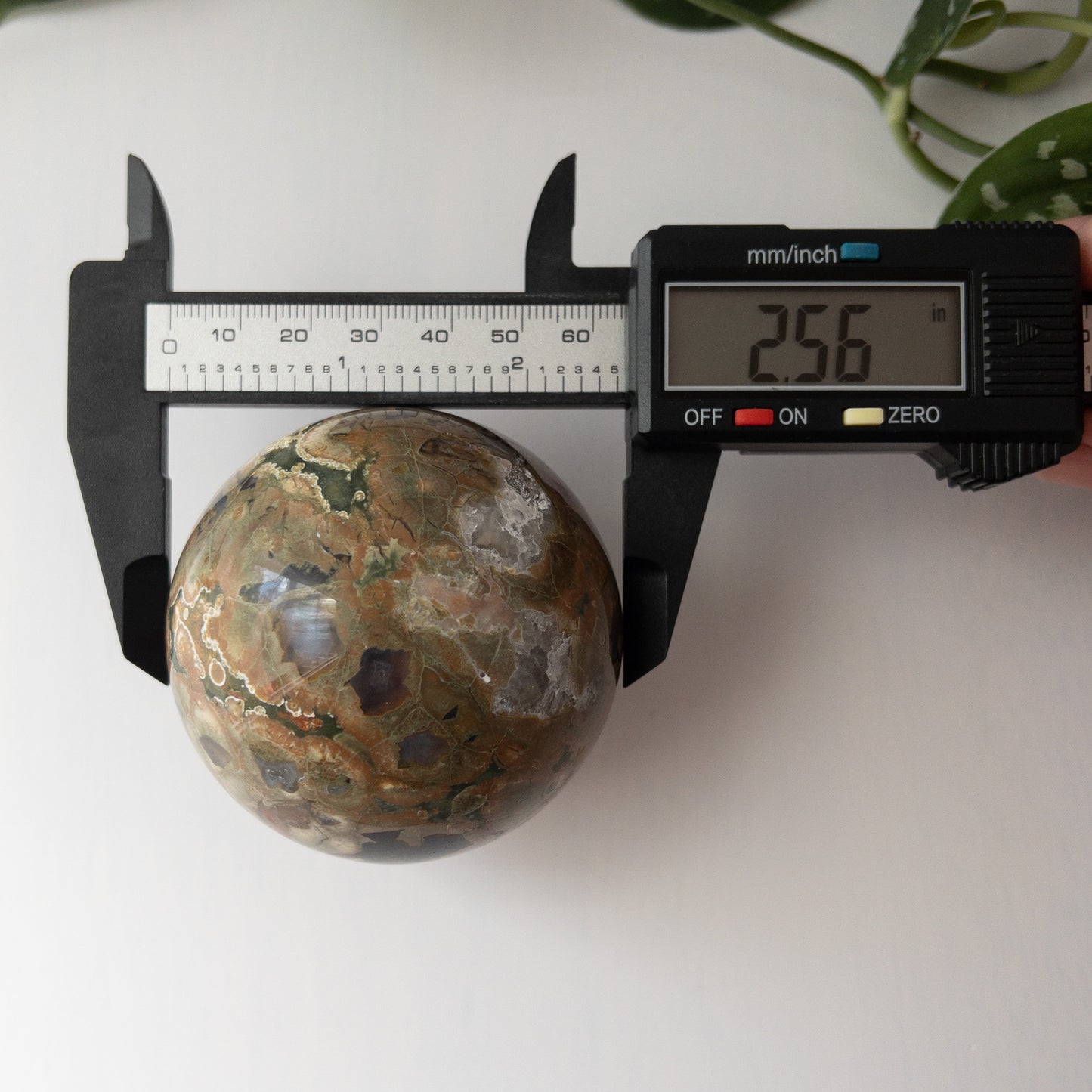 Rainforest Jasper Sphere (2.5 in.)