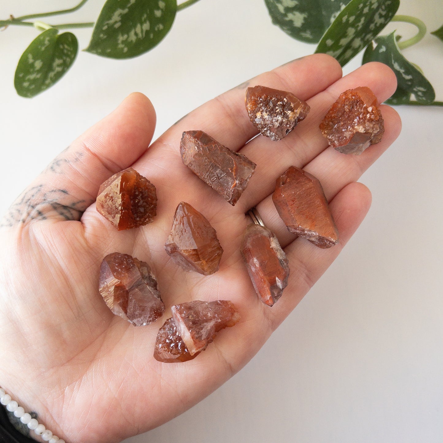 Ferruginous Red Quartz Point - Morocco
