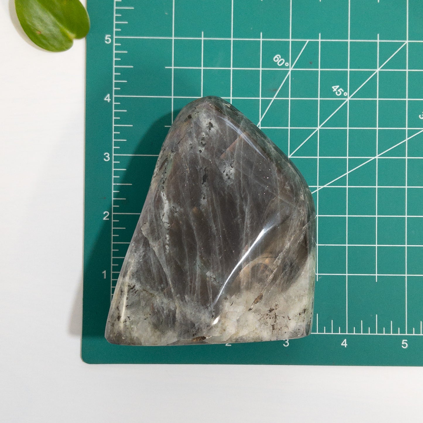 Purple Labradorite Freeform