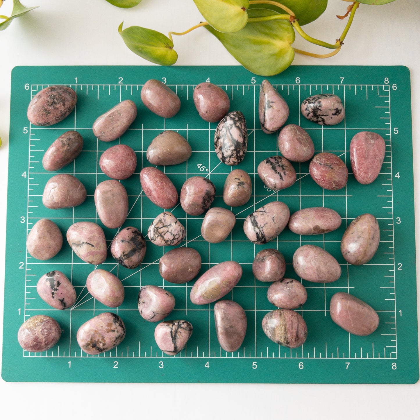 Rhodonite Tumbles
