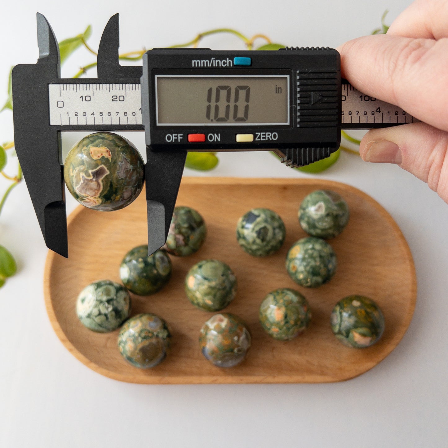 Rainforest Jasper (Rhyolite) Mini Spheres