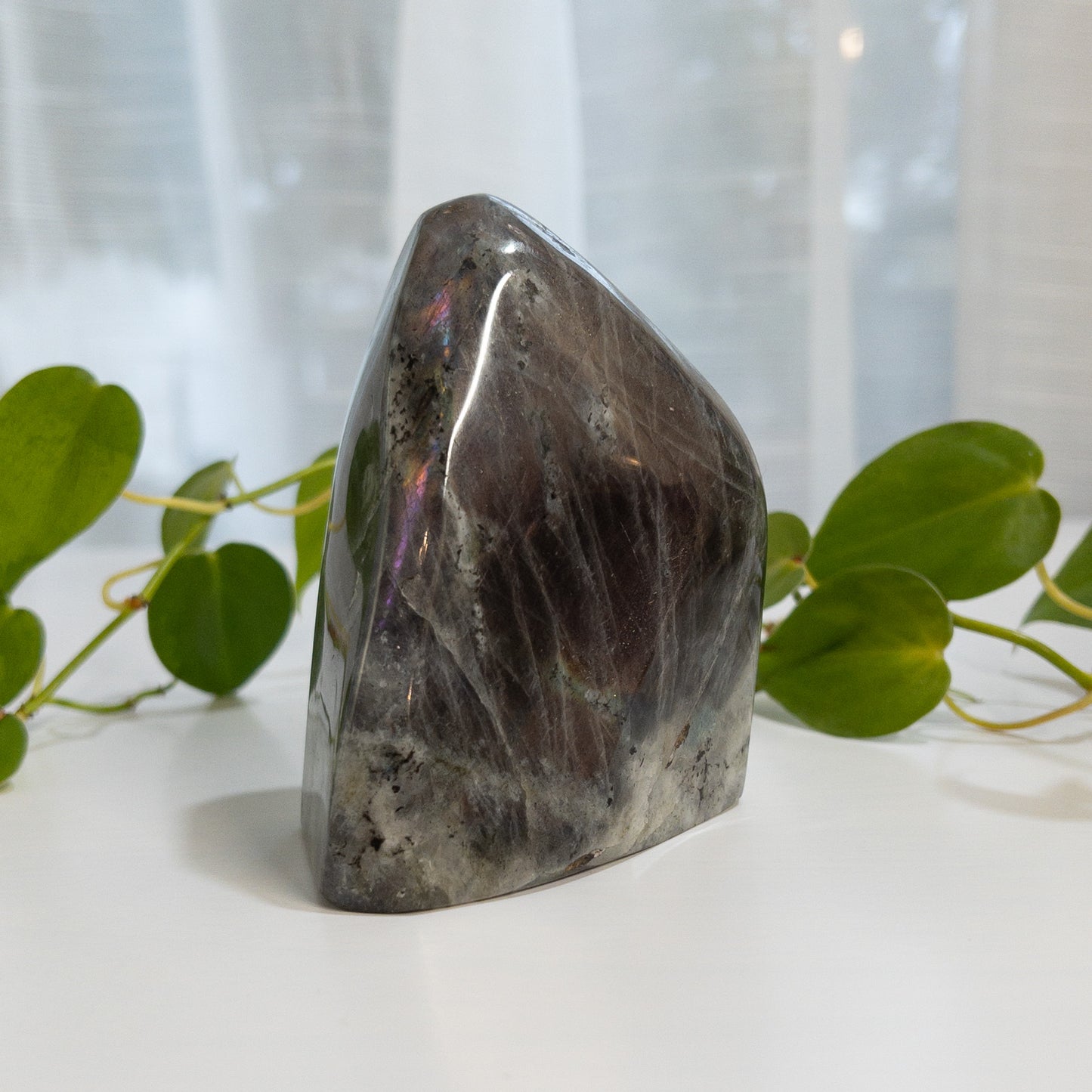Purple Labradorite Freeform