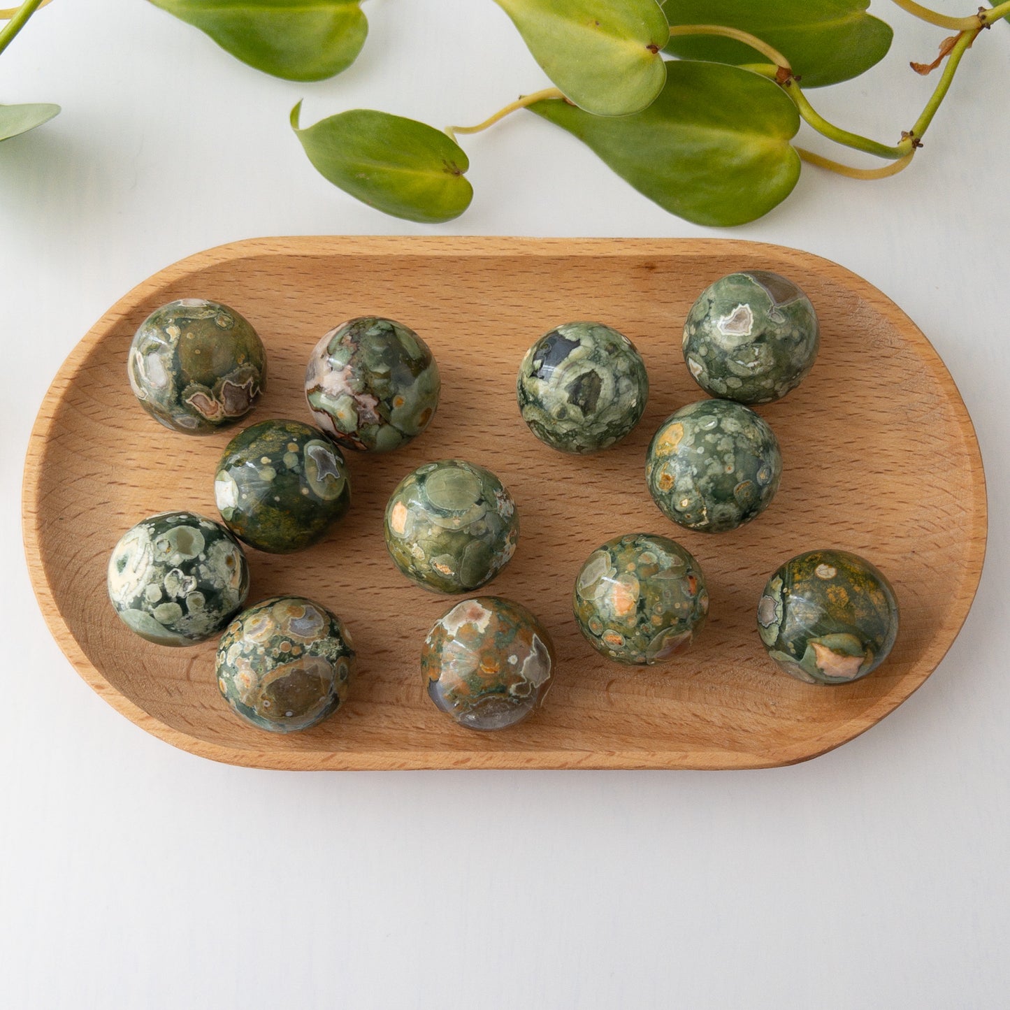 Rainforest Jasper (Rhyolite) Mini Spheres