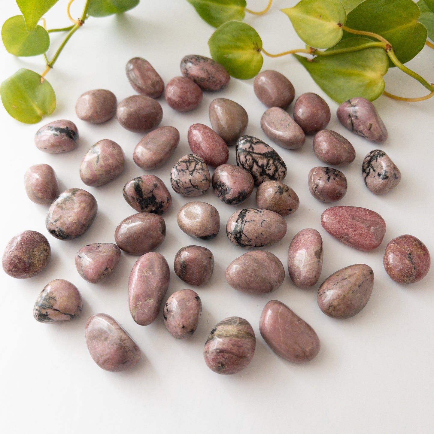 Rhodonite Tumbles