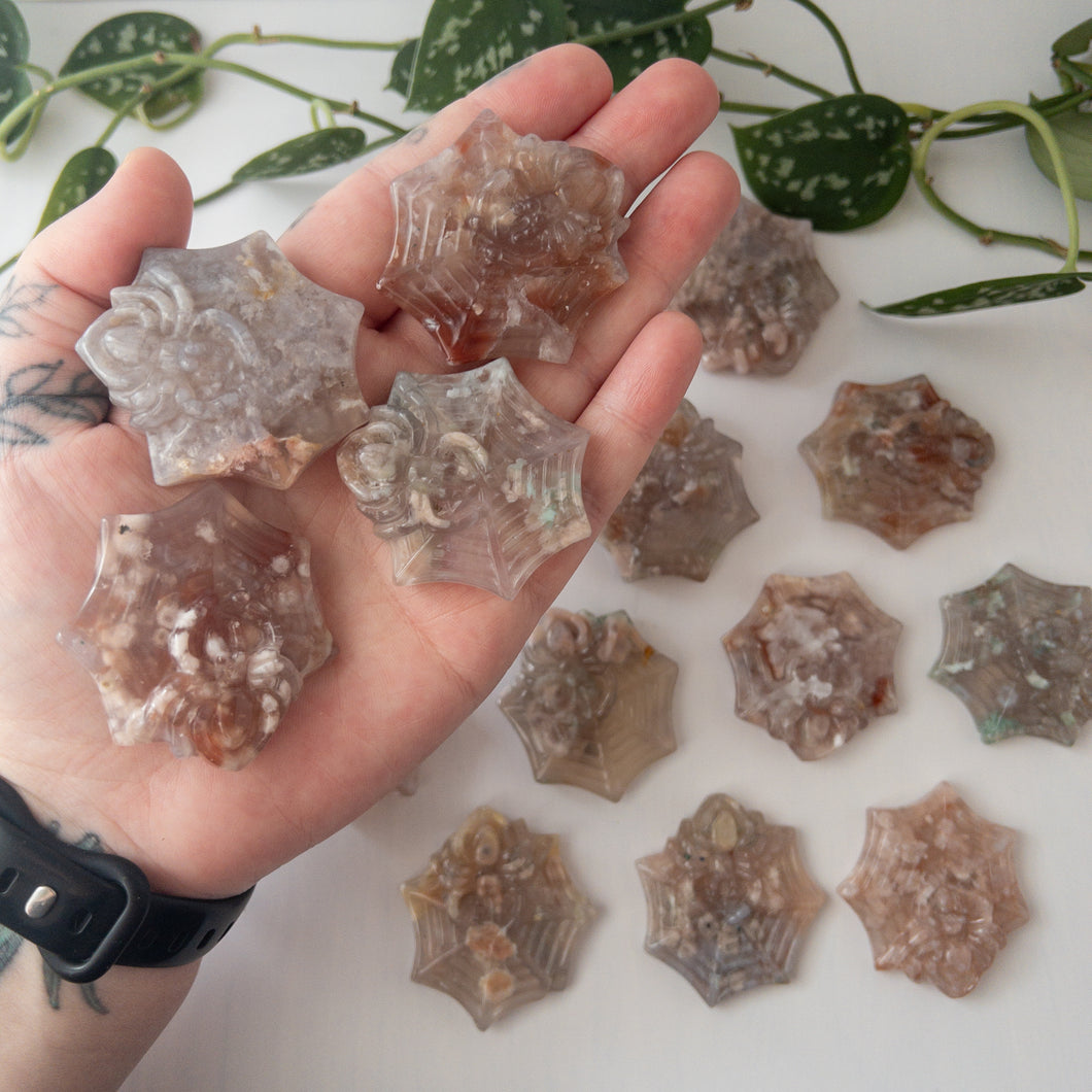 Flower Agate Spider On Web