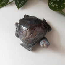 Load image into Gallery viewer, Sea Jasper Sea Turtle A
